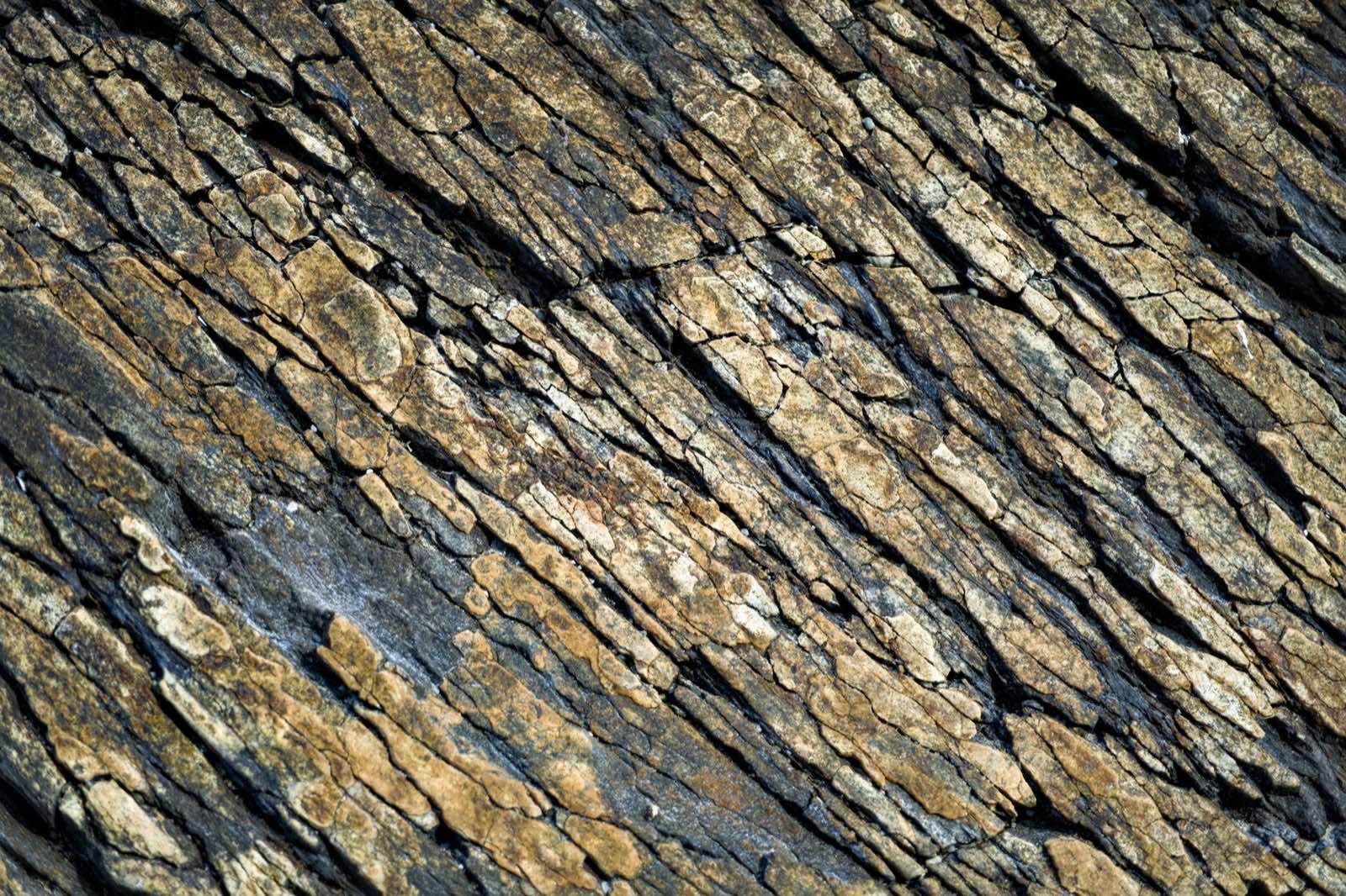 Plano macro de estratos de roca sedimentaria en capas diagonales, tonos tierra y gris, con luz rasante que revela el tiempo acumulado en la piedra